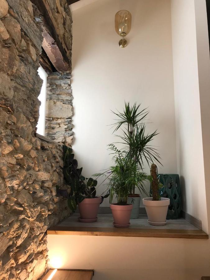 Studio Rural Vilarinho  Εξωτερικό φωτογραφία